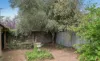 50 Ferguson Street, Canowindra, NSW 2804-Image