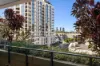 501/48 Jephson Street, Toowong, Qld 4066-Image