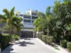 502/18 Paradise Street, Highgate Hill, Qld 4101-Image