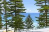 503/1 Raglan Street, Manly, NSW 2095-Image