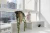 507/977 Ann Street, Fortitude Valley, Qld 4006-Image
