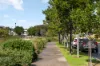 53 Pyers Street, St Clair, SA 5011-Image