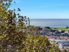 5508/30-34 Wellington Street, Bondi, NSW 2026-Image