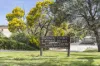 56/4 Wilkins Street, Mawson, ACT 2607-Image