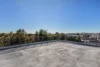 589-591 New Canterbury Road, Dulwich Hill, NSW 2203-Image