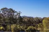 59/10 Pikki Street, Maroochydore, Qld 4558-Image