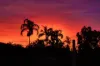 6/1-3 Pecten Avenue (Sailz Apartments), Port Douglas, Qld 4877-Image