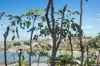 6/149 Hastings Parade, North Bondi, NSW 2026-Image