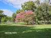 6/20 Underhill Avenue, Indooroopilly, Qld 4068-Image