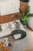 6/3 Witter Place, Brooklyn Park SA 5032-Image
