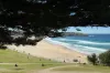 6/34 Campbell Parade, Bondi Beach, NSW 2026-Image