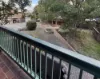 6/386 Carrington Street, Adelaide SA 5000-Image