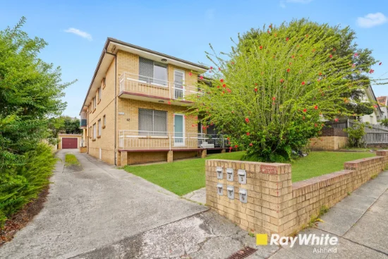 6/42 Palace Street, Ashfield NSW 2131-Image