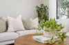 6/44 Upper Lancaster Road, Ascot, Qld 4007-Image