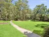 6/53-59 Helen Street, Lane Cove, NSW 2066-Image