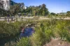 6/53 Gordon Street, Stones Corner, Qld 4120-Image