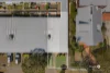 6/55 Bulimba Street, Bulimba, Qld 4171-Image