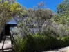 6/9 Farrer Place, Farrer, ACT 2607