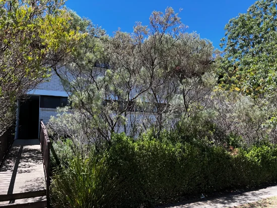 6/9 Farrer Place, Farrer, ACT 2607