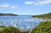 6/98 Lauderdale Avenue, Fairlight, NSW 2094
