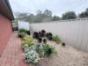 6 Victoria Grove, Clare SA 5453-Image