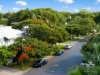 62/19 Dixon Street, New Farm, Qld 4005-Image