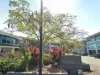 63/228 Varsity Parade, Varsity Lakes, Qld 4227-Image