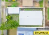 6a Anchusa Street, Kingston QLD 4114-Image