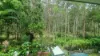 7/10-12 Quinn Court, Mount Coolum, Qld 4573-Image