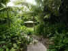7/21 Shute Harbour Road, Cannonvale QLD 4802-Image