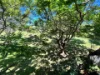 7/28 Duet Drive, Mermaid Waters QLD 4218-Image