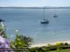 7/40 Magnus Street, Nelson Bay, NSW 2315-Image