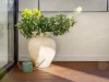 7/5 Gurrigal Street, Mosman, NSW 2088-Image