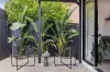 7/5 James Street, Heidelberg Heights, Vic 3081-Image
