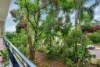 7/8 Hickory Street, Nightcliff, NT 0810-Image