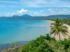 7 Martinique/66 Macrossan Street, Port Douglas, Qld 4877-Image
