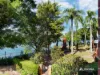 71/53 Vernon Terrace, Teneriffe, Qld 4005-Image
