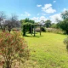 73a Fitzroy Avenue, Cowra, NSW 2794-Image