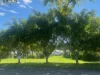 76A/570 Pine Ridge Road, Coombabah, Qld 4216-Image