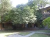 8/15 Wakefield Street, Kent Town, SA 5067-Image