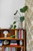 8/18-19 South Terrace, Clifton Hill, Vic 3068-Image
