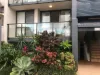 8/2 Maroubra Street, Maroochydore, Qld 4558-Image