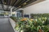 8/26 Antill Street, Dickson, ACT 2602-Image