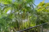 8/49-51 Digger Street, Cairns North, Qld 4870-Image