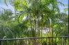 8/49-51 Digger Street, Cairns North, Qld 4870-Image