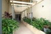 8/50-52 Miles Street, Coolangatta, Qld 4225-Image