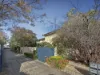 8/50 Lillimur Road, Ormond, Vic 3204-Image