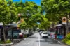 8/561 Crown St, Surry Hills, NSW 2010-Image