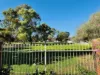 8/6-8 Sapphire Court, Mildura, Vic 3500-Image