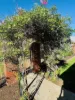 8/6-8 Sapphire Court, Mildura, Vic 3500-Image